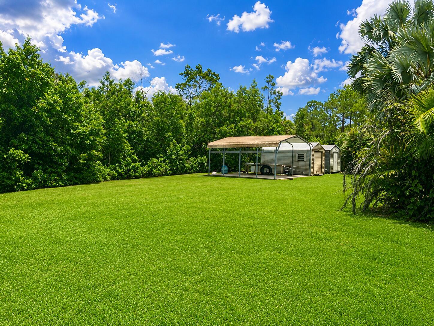 A large, grassy backyard features a metal carport and shed surrounded by dense trees — 18633 N 92nd Ln Lane N, FL 33470, FL