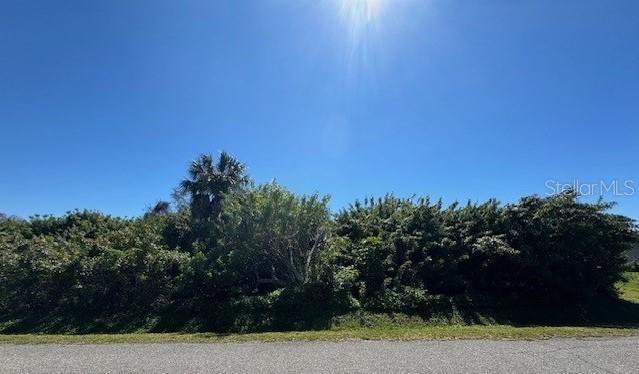 LEHIGH ROAD, VENICE, FL — photo 3 of 10