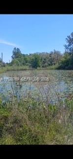 0 Richardson Blvd, Other City - In The State Of Florida FL 33597