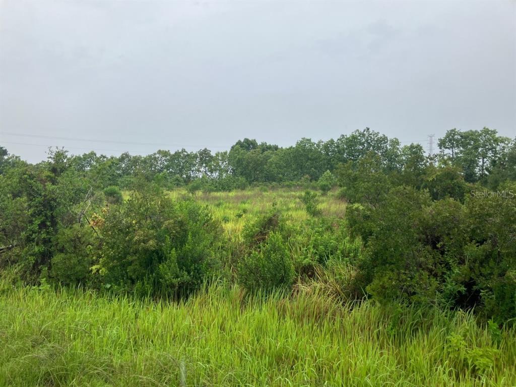 An overgrown, grassy field with scattered shrubs and a line of trees in the background — 760 S WARFIELD ROAD, AVON PARK, FL