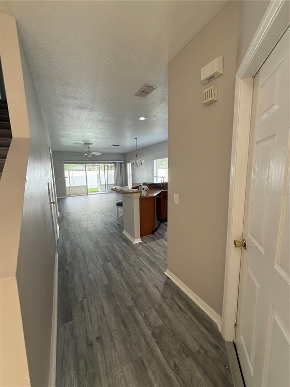 A hallway with gray wood-look flooring leads to an open kitchen and living area — 20460 NEEDLETREE DRIVE, TAMPA, FL