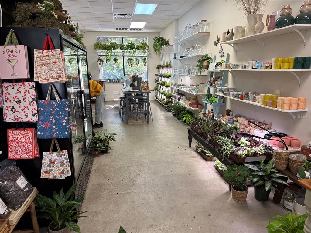 A retail plant shop features concrete floors, white shelving units, and hanging greenery — 4780 NW 39TH AVENUE, GAINESVILLE, FL