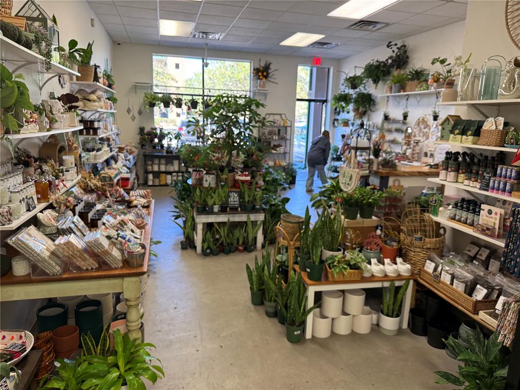 A retail plant shop features shelves filled with potted plants, home decor, and gardening supplies — 4780 NW 39TH AVENUE, GAINESVILLE, FL