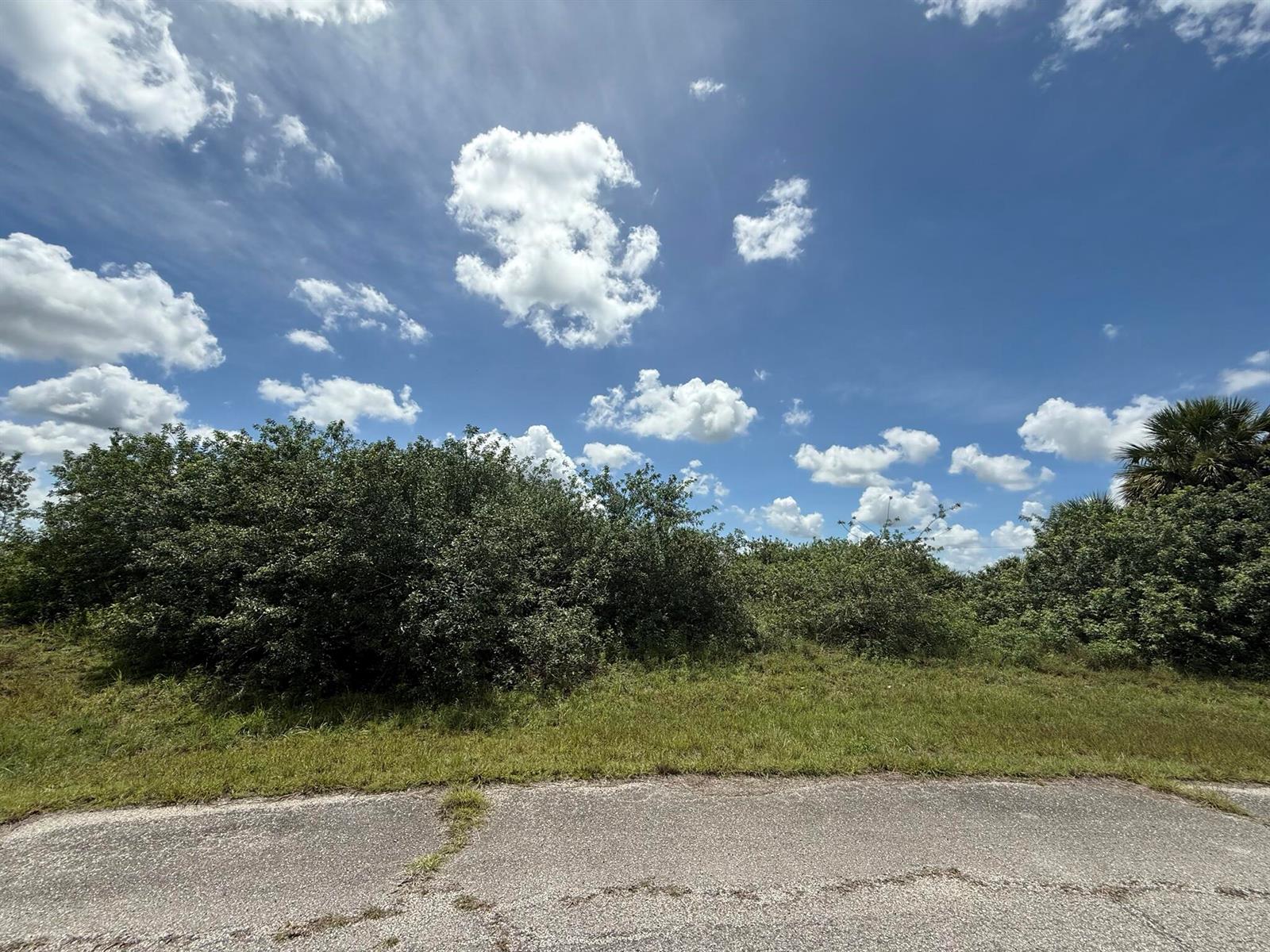 A paved road borders a grassy lot filled with dense green shrubs and trees — 113 Liberty Terrace, FL 33935, FL