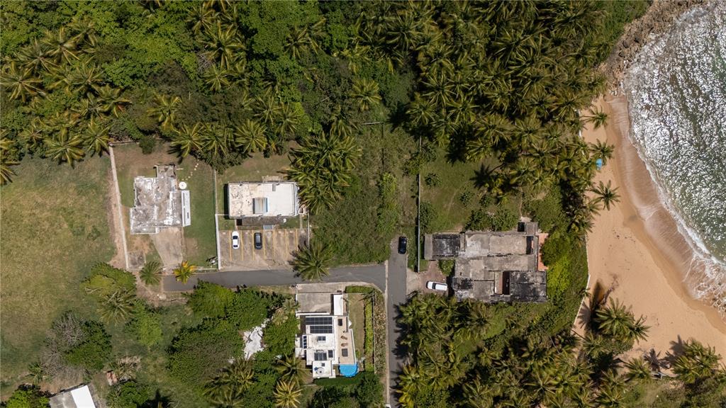 An aerial view shows several buildings nestled among palm trees next to a sandy beach — 16 DELFIN CAP DE MAR, VEGA ALTA, PR
