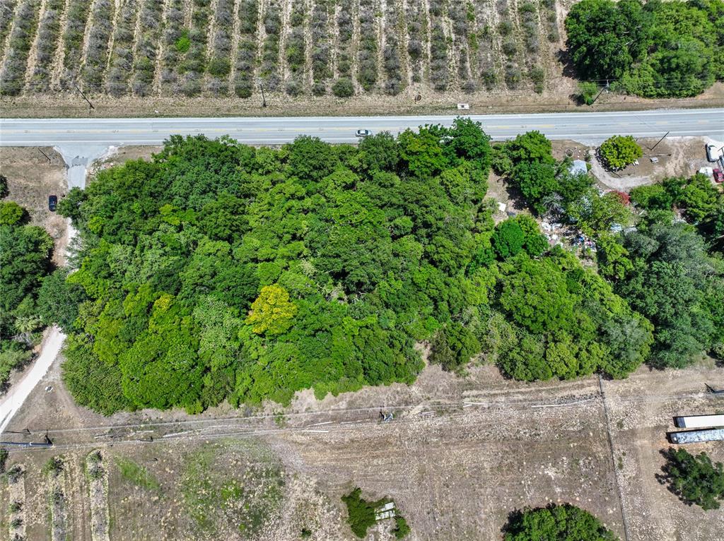 An aerial view shows a rectangular wooded lot bordered by a road and agricultural fields — SR-17, HAINES CITY, FL