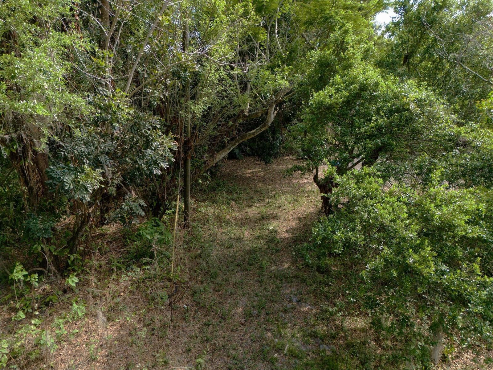 A narrow, dirt-covered path winds through a dense, wooded area with mature trees and foliage — 1202 Australian Avenue, Fort Pierce FL 34982, FORT PIERCE, FL