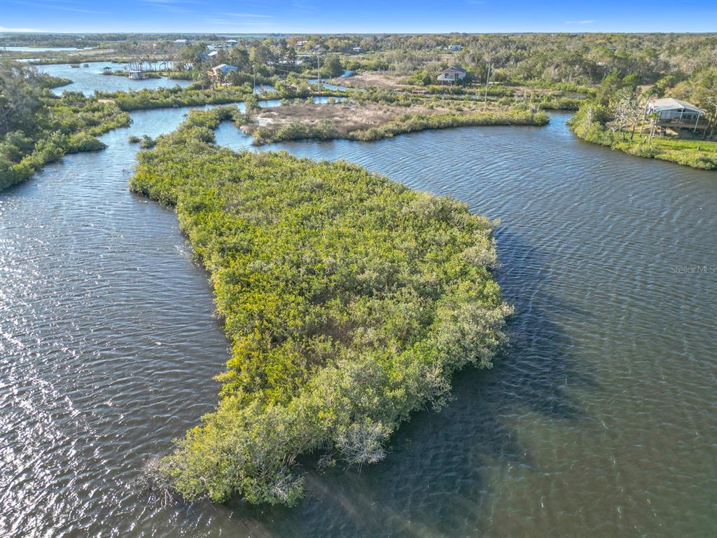 14101 W ST MARTINS ROAD, CRYSTAL RIVER, FL — photo 3 of 14
