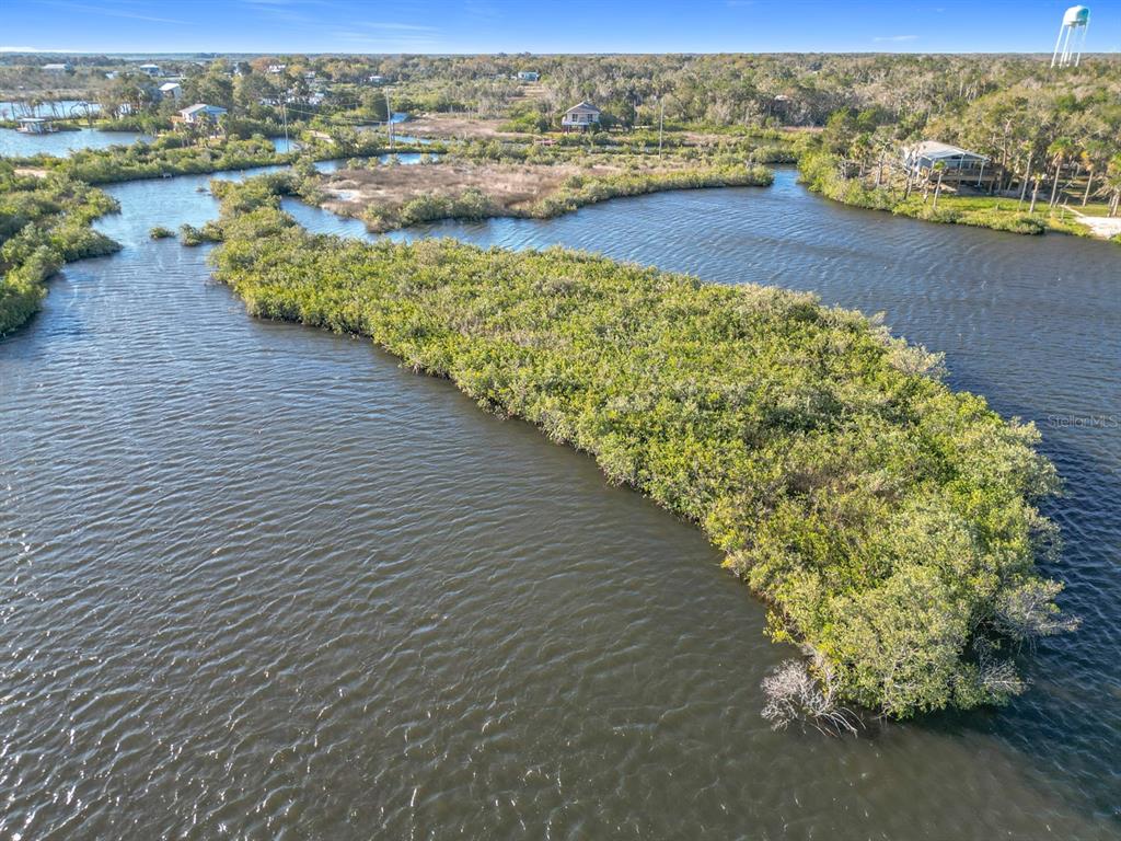14101 W ST MARTINS ROAD, CRYSTAL RIVER, FL — photo 4 of 14
