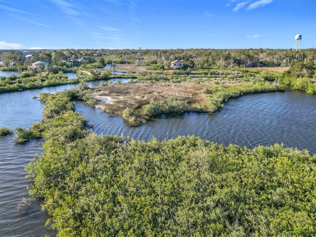 14101 W ST MARTINS ROAD, CRYSTAL RIVER, FL — photo 5 of 14
