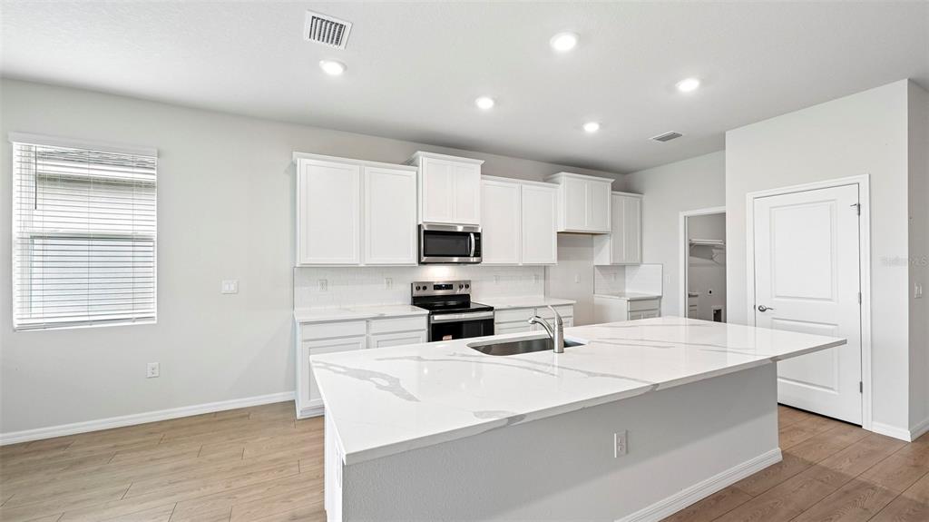 A modern kitchen features white cabinets, a marble-topped island with a sink, and wood-look flooring — 1505 LOVE GRASS TERRACE, PARRISH, FL