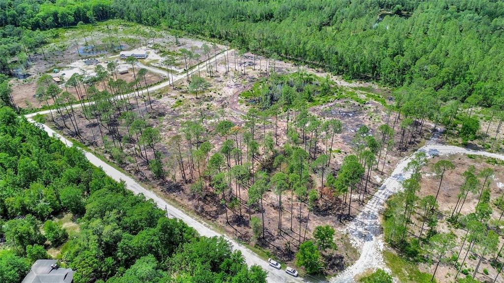 An aerial view shows a partially cleared, wooded lot with dirt roads and scattered pine trees — MARSHVIEW DRIVE, DELAND, FL