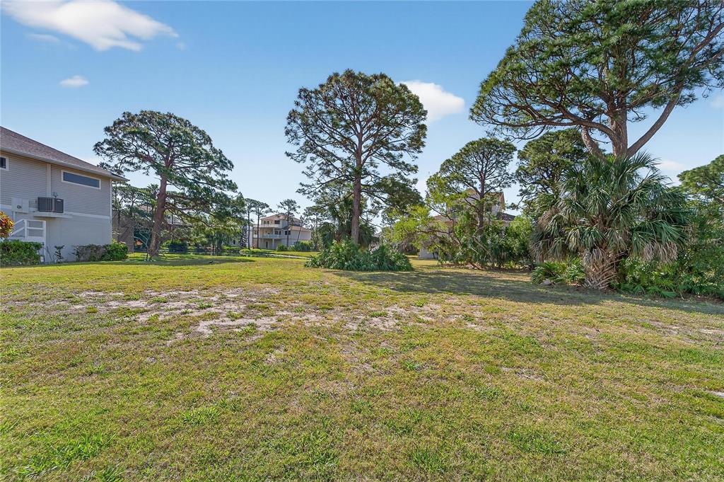 A grassy lot with scattered pine trees and nearby residential buildings under a blue sky — HARBOUR WATCH CIRCLE, TARPON SPRINGS, FL