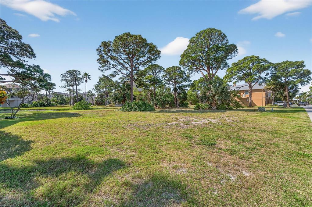 A grassy vacant lot features scattered pine trees and palm trees under a blue sky — HARBOUR WATCH CIRCLE, TARPON SPRINGS, FL
