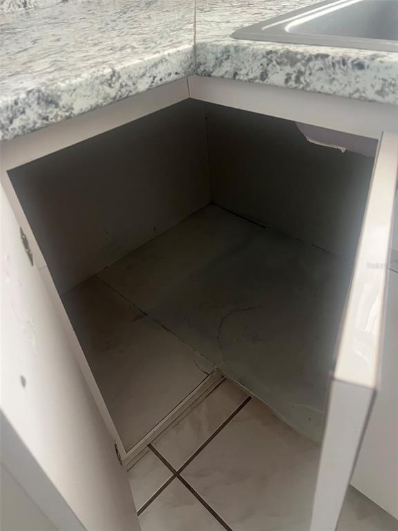 An open kitchen cabinet under a granite countertop with a sink basin above — 5205 DUBLIN PLACE, TAMPA, FL