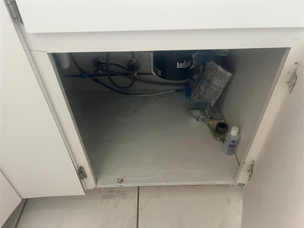 The interior of a kitchen sink cabinet shows plumbing, a garbage disposal, and storage space — 5205 DUBLIN PLACE, TAMPA, FL
