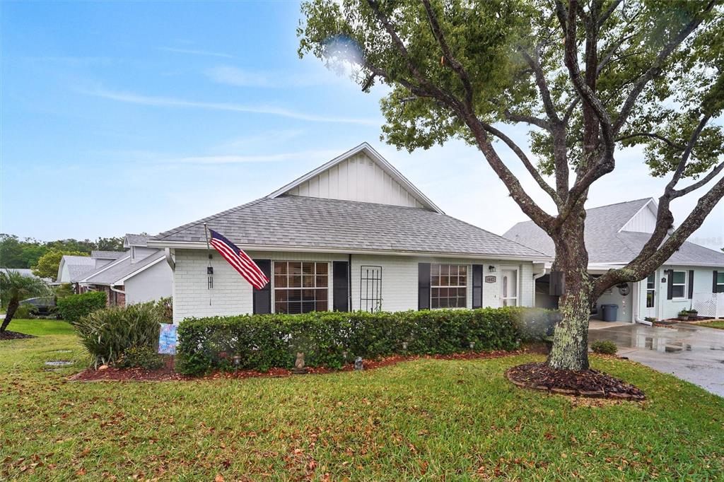 A single-story house with a white brick exterior, a grey roof, and a large tree — 6642 DEVONSHIRE LANE, NEW PORT RICHEY, FL