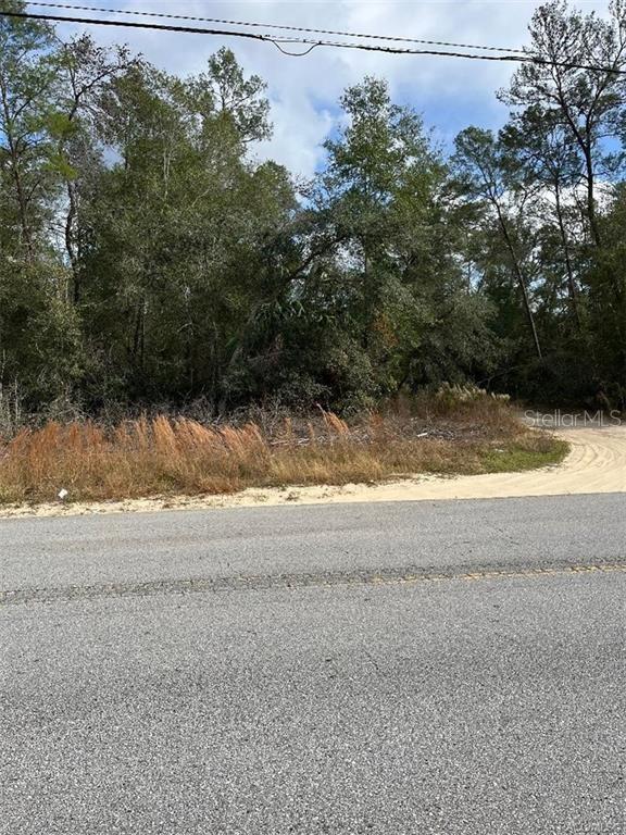 A view of a vacant, wooded lot from an adjacent paved road — 3008 COLLINS STREET, INVERNESS, FL