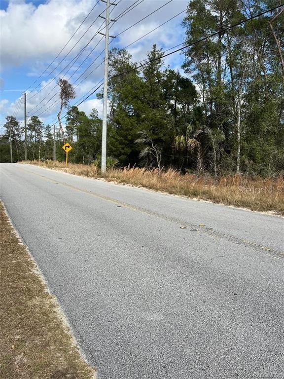 A paved road runs alongside a wooded lot with a utility pole and road sign — 3008 COLLINS STREET, INVERNESS, FL