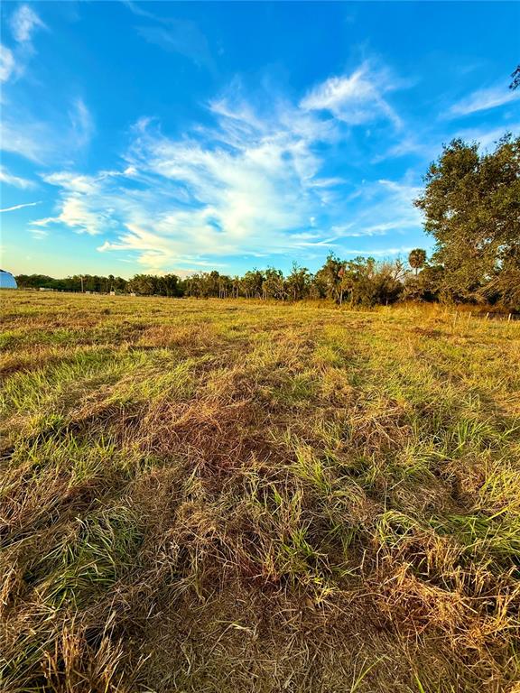 A wide, grassy field stretches toward a line of trees under a blue sky — 2902 SE PIGGYBACK ROAD, ARCADIA, FL