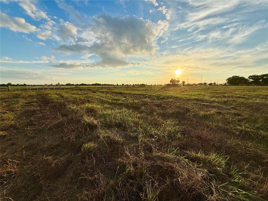 A wide, grassy field under a sunset sky with a fence line in the distance — 2902 SE PIGGYBACK ROAD, ARCADIA, FL