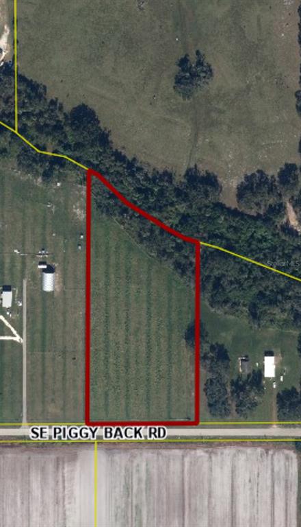An aerial map shows a rectangular plot of land outlined in red along a road — 2902 SE PIGGYBACK ROAD, ARCADIA, FL