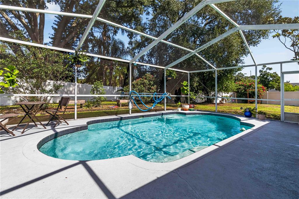 A screened-in swimming pool with a concrete deck and surrounding trees in a backyard — 1703 LARABIE COURT, BRANDON, FL