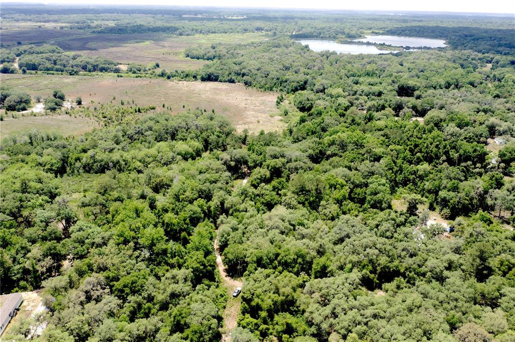 An aerial view shows a dirt road winding through a dense forest toward a lake — 16500 NE 48TH AVENUE, CITRA, FL