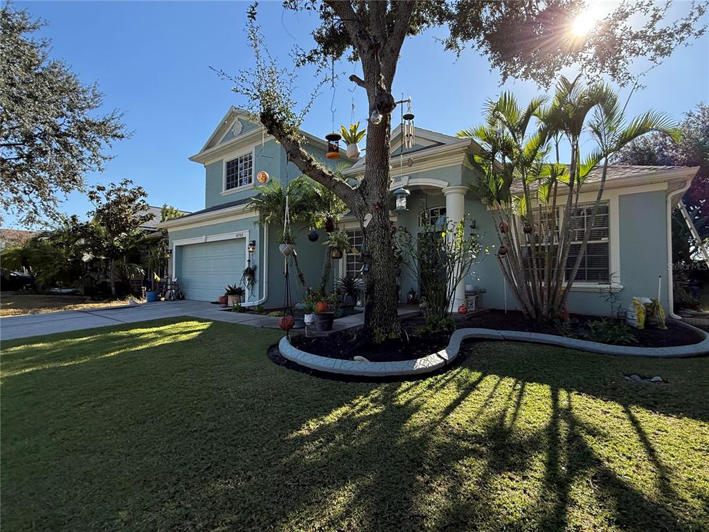 A two-story light blue house with a front lawn, a large tree, and palm trees — 10703 BANFIELD DRIVE, RIVERVIEW, FL