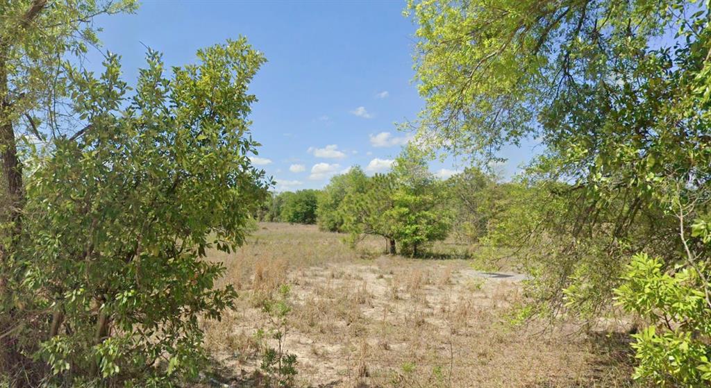 A view of a grassy, sunlit field surrounded by trees under a clear blue sky — OFF NW CR-138 Lot 95, BRANFORD, FL
