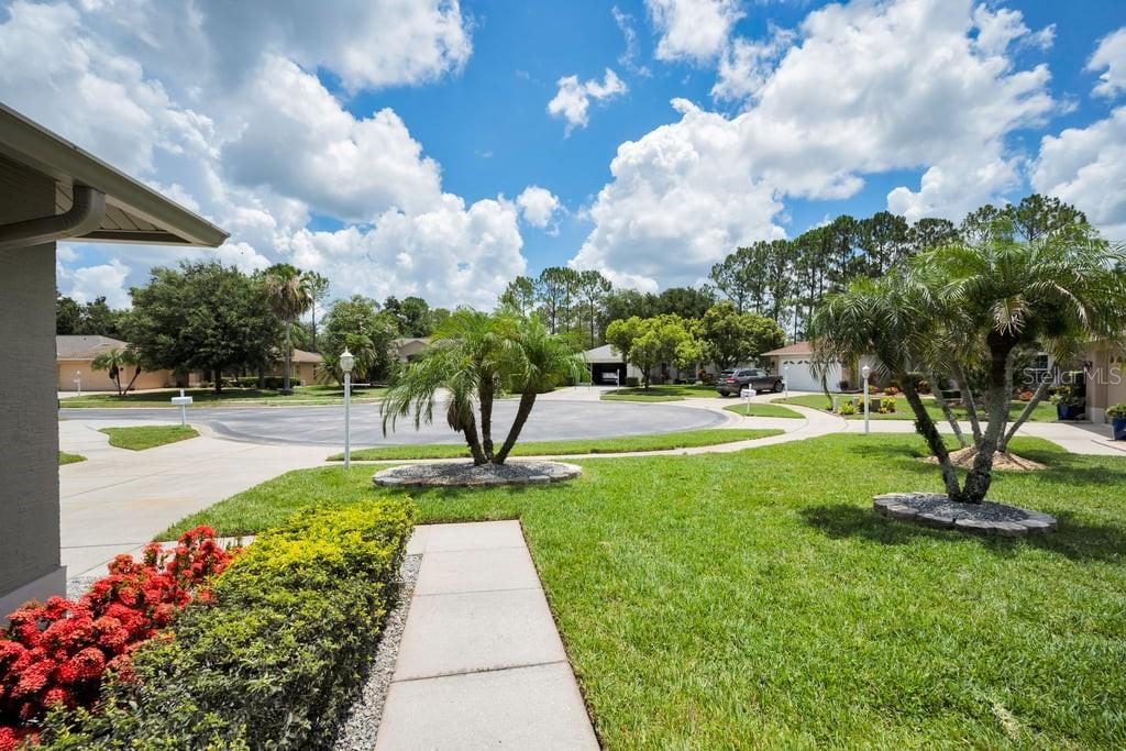 A view of a suburban cul-de-sac with manicured lawns, palm trees, and paved walkways — 1253 EVENINGSIDE COURT, TRINITY, FL