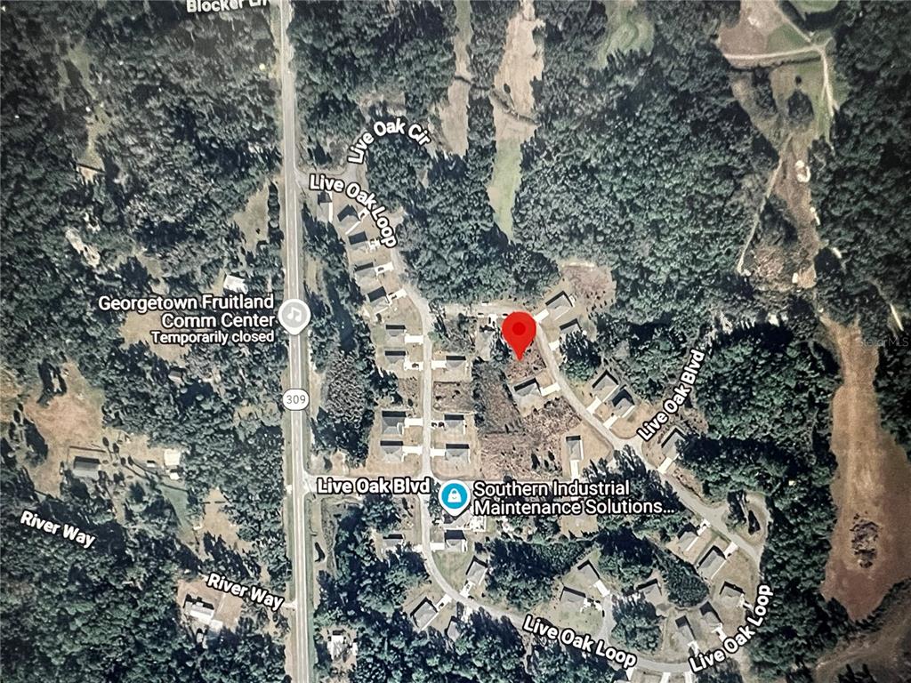 260 LIVE OAK LOOP