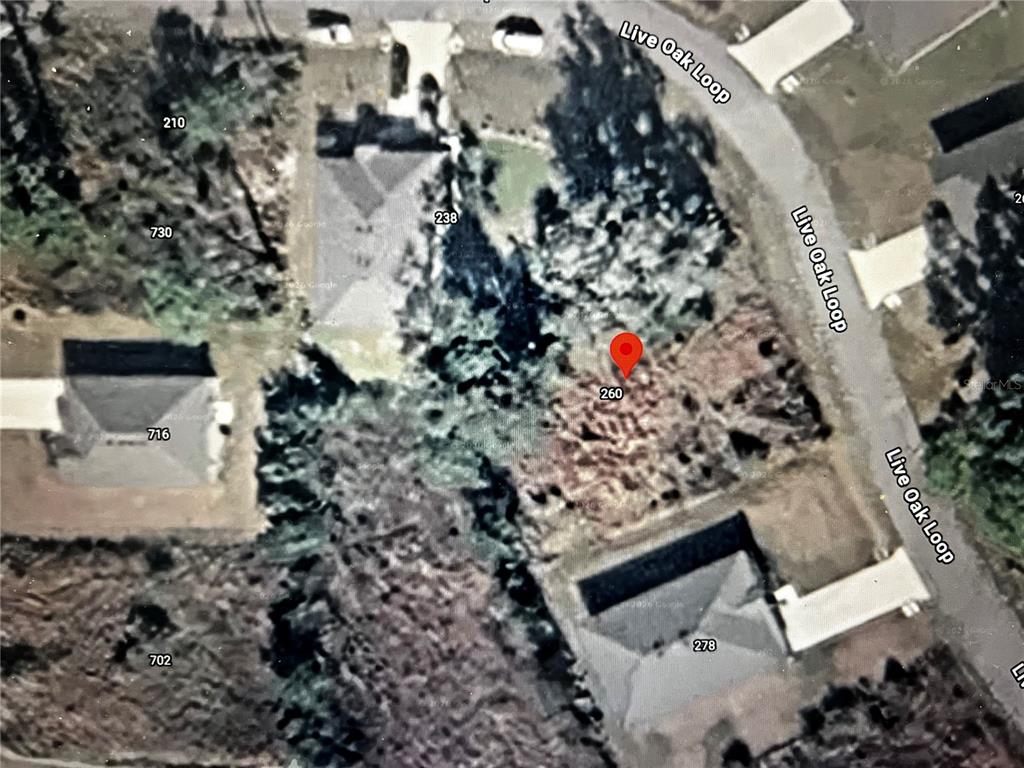 This is an aerial map view of a residential lot located on Live Oak Loop — 260 LIVE OAK LOOP, CRESCENT CITY, FL