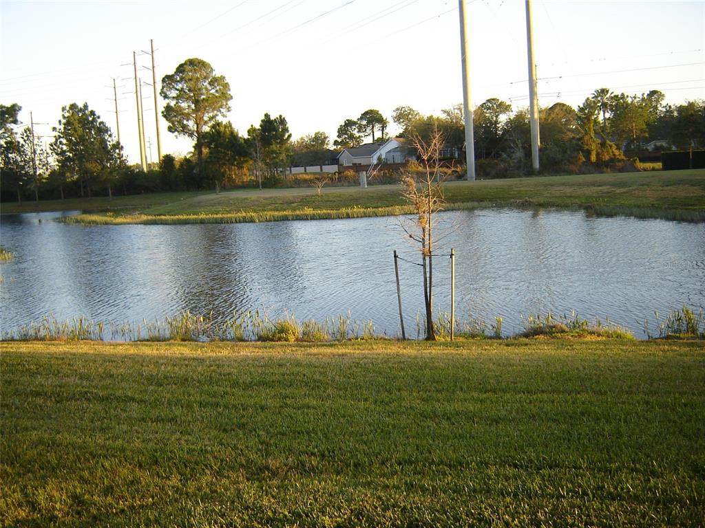 A grassy lawn overlooks a small pond with a young tree and power lines nearby — 3387 CARUSO PLACE, OVIEDO, FL
