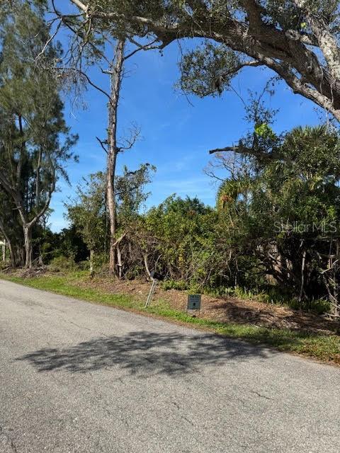 CEDAR AVENUE, ENGLEWOOD, FL — photo 4 of 5
