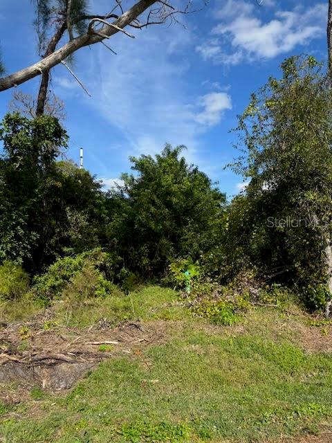 CEDAR AVENUE, ENGLEWOOD, FL — photo 5 of 5