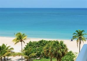 A view of a sandy beach and turquoise ocean from an elevated balcony with palm trees — 1000 S Ocean Boulevard # 6n, Pompano Beach FL 33062, POMPANO BEACH, FL