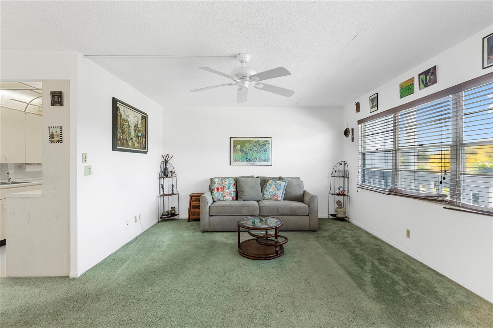 A living room features green carpeting, a gray sofa, a ceiling fan, and large windows — 3028 Newport H, Deerfield Beach FL 33442, DEERFIELD BEACH, FL