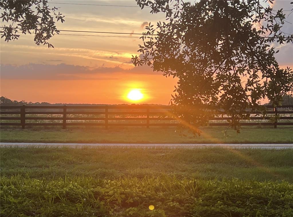 A sunset glows over a grassy field behind a dark wooden fence and trees — 10839 LANTANA CREST, CLERMONT, FL