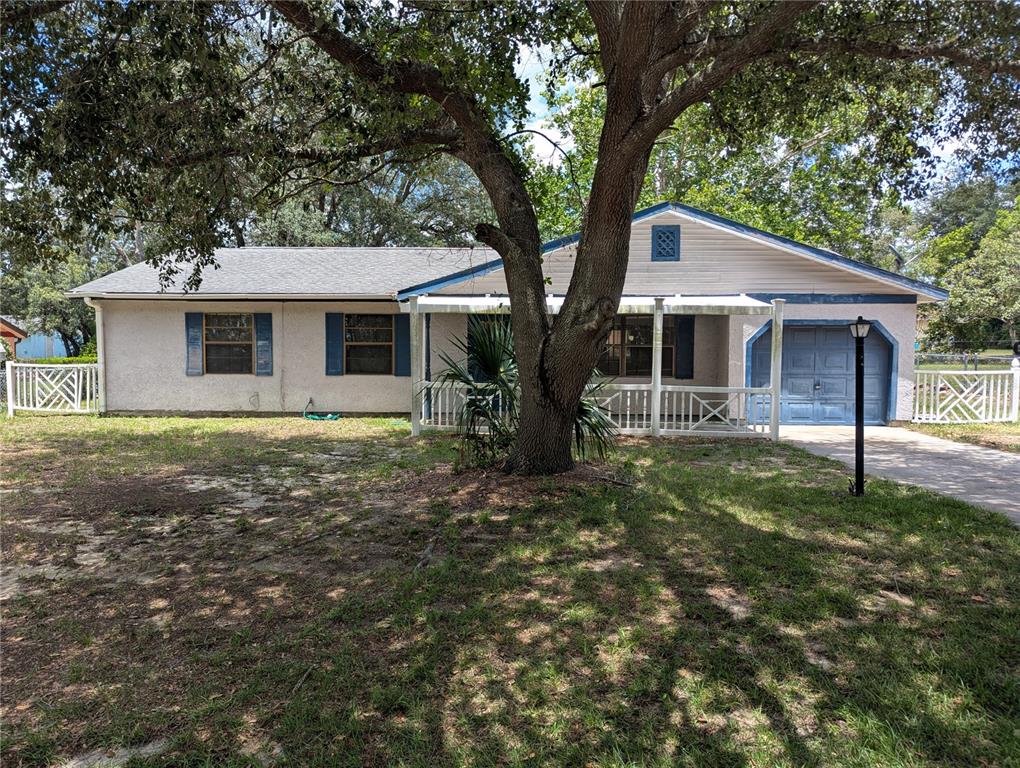 32 PALM RUN