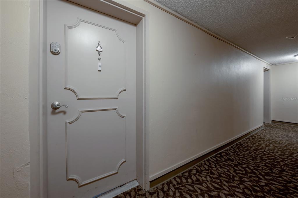 A hallway with patterned carpet leads to a white door with decorative molding — 4141 BAYSHORE BOULEVARD UNIT 1003, TAMPA, FL