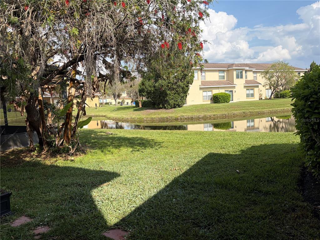 A view of a grassy backyard with a pond and a multi-story building beyond — 8914 IRON OAK, TAMPA, FL
