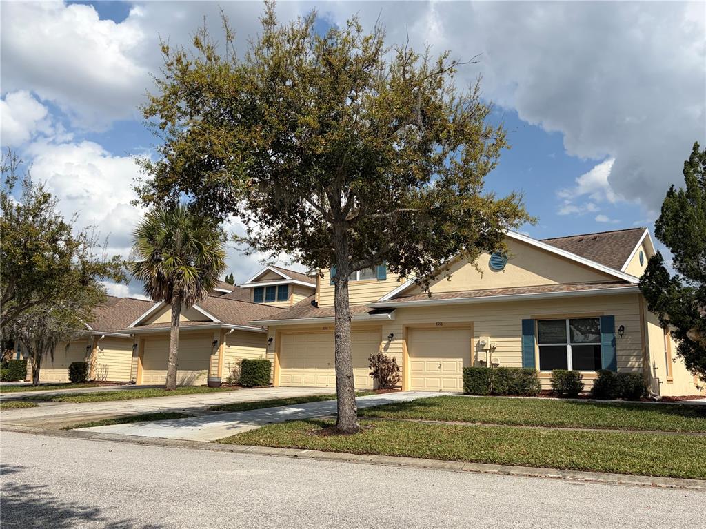 A row of yellow townhomes with attached garages and a large tree in the foreground — 8914 IRON OAK, TAMPA, FL