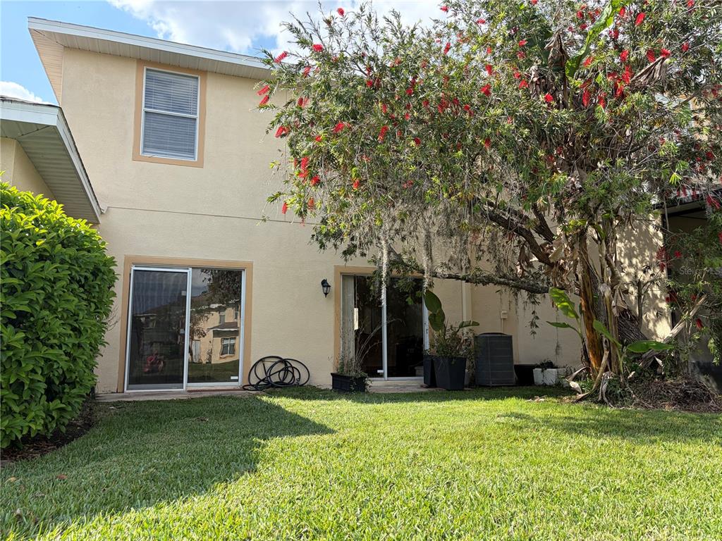 The exterior of a two-story house features a grassy yard, sliding glass doors, and a tree — 8914 IRON OAK, TAMPA, FL