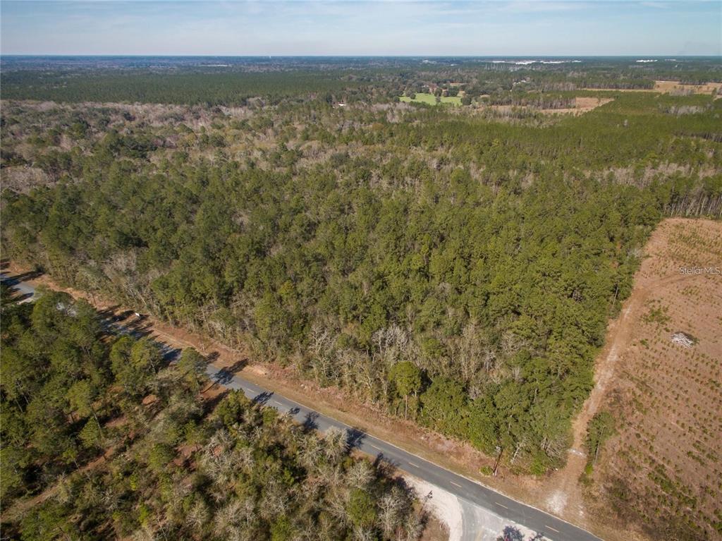 An aerial view shows a paved road running alongside a large, densely wooded plot — xxxx WEEKS LANE, LAKE CITY, FL