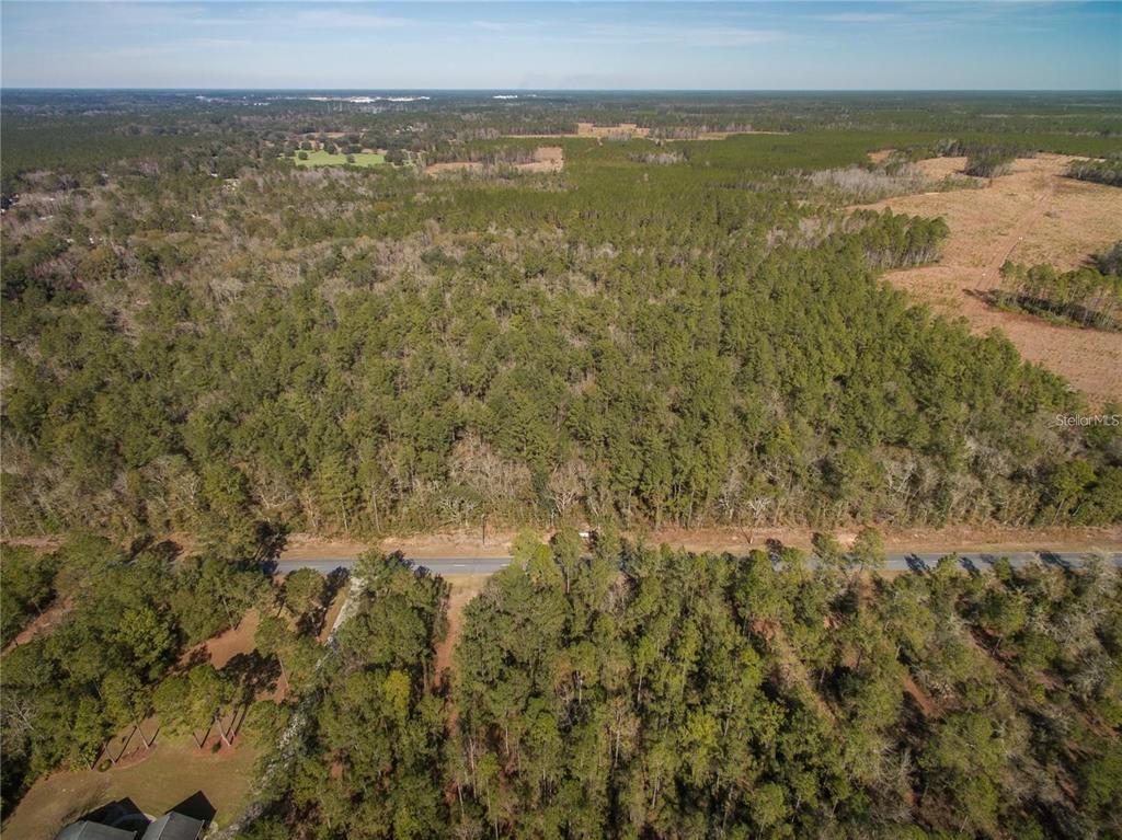 An aerial view shows a dense forest divided by a paved road — xxxx WEEKS LANE, LAKE CITY, FL