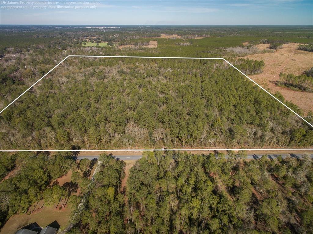 An aerial view shows a rectangular wooded lot outlined in white next to a road — xxxx WEEKS LANE, LAKE CITY, FL