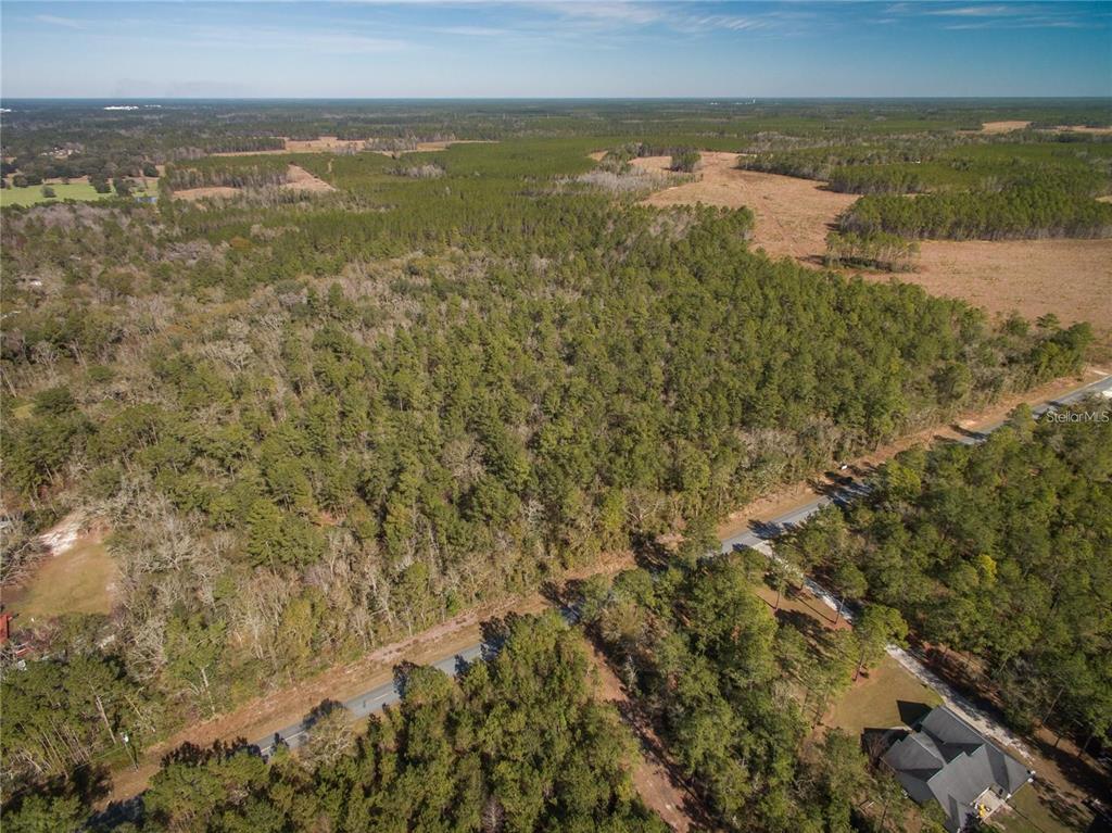 An aerial view shows a large, wooded lot bordered by a paved road and fields — xxxx WEEKS LANE, LAKE CITY, FL