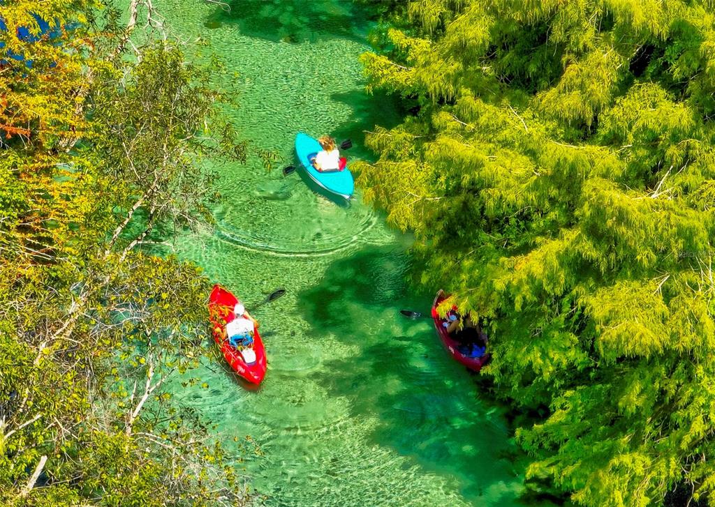 An aerial view shows three people kayaking in a clear, shallow river surrounded by trees — 7032 RIVER RUN BOULEVARD, WEEKI WACHEE, FL