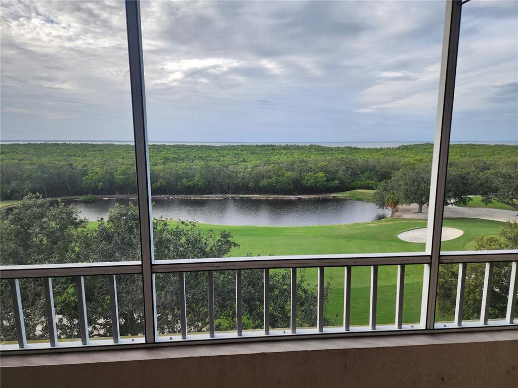 A screened balcony overlooks a golf course pond and a distant treeline under a cloudy sky — 2333 FEATHER SOUND DRIVE UNIT A607, CLEARWATER, FL